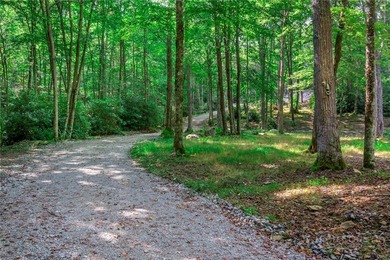 This is a one of a kind property situated in the Elk River Club - photo 6