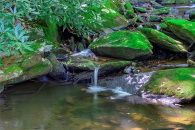 This is a one of a kind property situated in the Elk River Club - photo 7