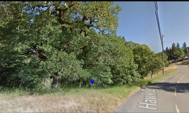 Discover Your Perfect Slice of Nature in Willits, California! - photo 5