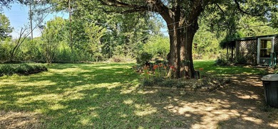 Perfect location to live and work!! 3 + acres with a 1500 sq ft - photo 4