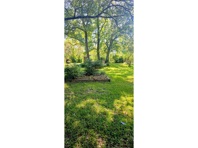 Perfect location to live and work!! 3 + acres with a 1500 sq ft - photo 5