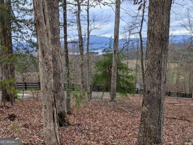 Lake Lot For Sale in Hayesville, North Carolina