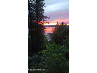 View property in the heart of Coolin! More trees can come down - photo 1