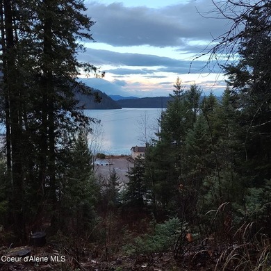 View property in the heart of Coolin! More trees can come down - photo 2