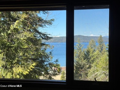 View property in the heart of Coolin! More trees can come down - photo 4
