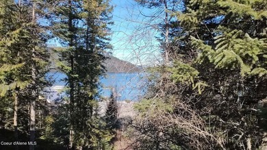 View property in the heart of Coolin! More trees can come down - photo 7