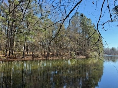 Lake Lot For Sale in Elloree, South Carolina