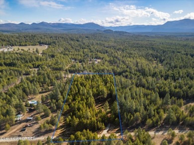Lake Acreage For Sale in Athol, Idaho