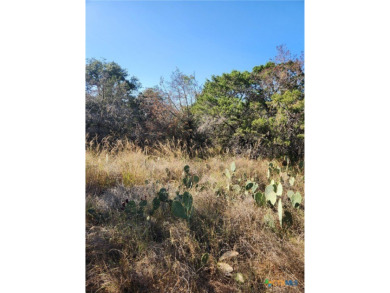 Lake Buchanan Lot For Sale in Burnet Texas