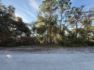 Lake Lot For Sale in Deltona, Florida
