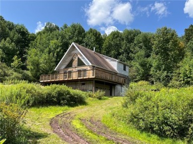 Lake Home For Sale in Andes, New York