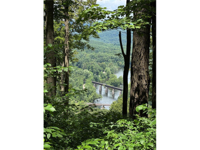 Adventure starts here! Located just 1 mile from Youghiogheny - photo 47