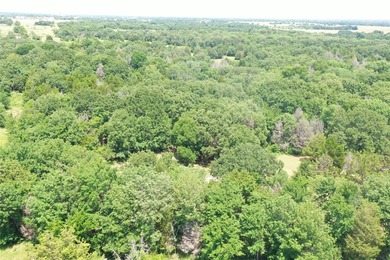 Bring your imagination to this rare 4-acre cul-de-sac property - photo 20