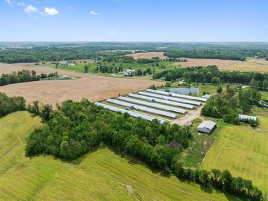 This is a very well-maintained 6-house broiler poultry farm. The - photo 6
