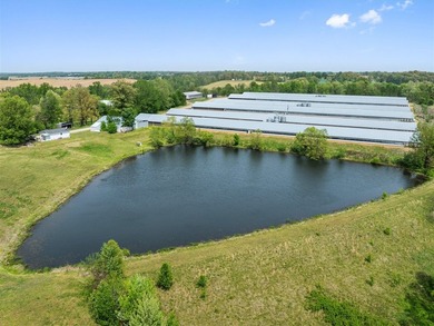 This is a very well-maintained 6-house broiler poultry farm. The - photo 7