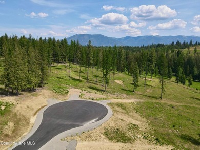 Experience the Idaho Dream with incredible water and mountain - photo 9