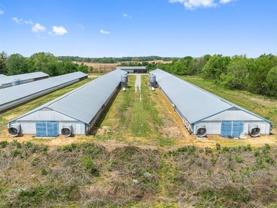 This is a very well-maintained 6-house broiler poultry farm. The - photo 10
