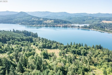 INCREDIBLY RARE FIND! Own a piece of paradise! Buildable 33 - photo 2