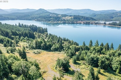 INCREDIBLY RARE FIND! Own a piece of paradise! Buildable 33 - photo 3