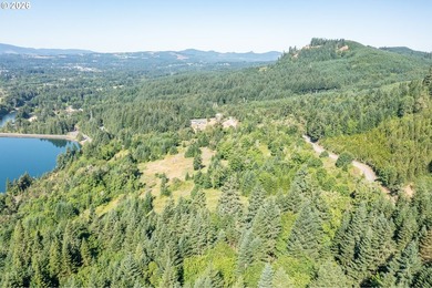 INCREDIBLY RARE FIND! Own a piece of paradise! Buildable 33 - photo 4