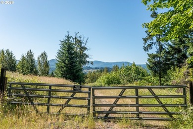 INCREDIBLY RARE FIND! Own a piece of paradise! Buildable 33 - photo 5