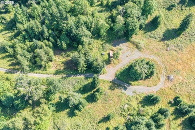 INCREDIBLY RARE FIND! Own a piece of paradise! Buildable 33 - photo 6
