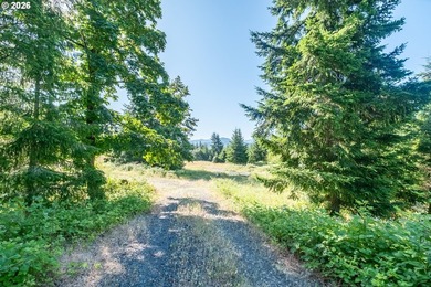 INCREDIBLY RARE FIND! Own a piece of paradise! Buildable 33 - photo 7