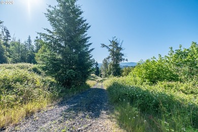 INCREDIBLY RARE FIND! Own a piece of paradise! Buildable 33 - photo 8
