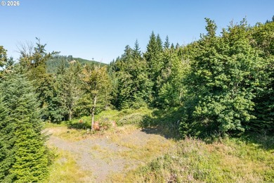 INCREDIBLY RARE FIND! Own a piece of paradise! Buildable 33 - photo 9
