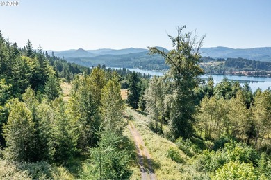 INCREDIBLY RARE FIND! Own a piece of paradise! Buildable 33 - photo 10