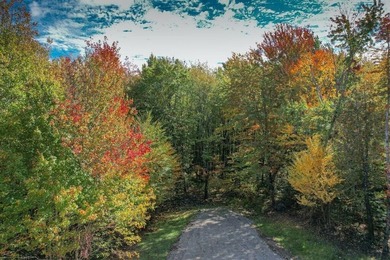 Beautiful Elevated Lot just outside the City of Ellsworth This 4 - photo 4