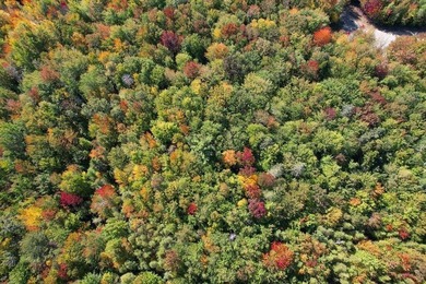 Beautiful Elevated Lot just outside the City of Ellsworth This 4 - photo 7