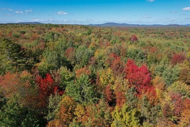 Beautiful Elevated Lot just outside the City of Ellsworth This 4 - photo 9