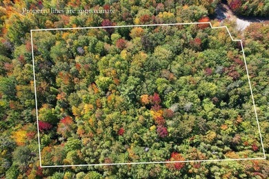 Beautiful Elevated Lot just outside the City of Ellsworth This 4 - photo 10