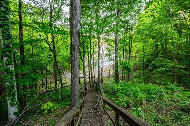 LUXURY LAKEFRONT ESTATE - BARREN RIVER LAKE with Private Dock - photo 6