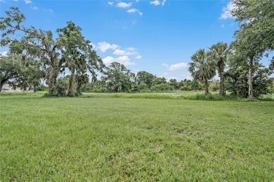 A Gorgeous 8.87 Acre Lakefront Parcel Zoned Mixed Use in the - photo 23