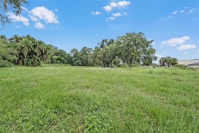 A Gorgeous 8.87 Acre Lakefront Parcel Zoned Mixed Use in the - photo 27