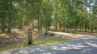 Experience the pinnacle of lakefront luxury in this furnished - photo 46