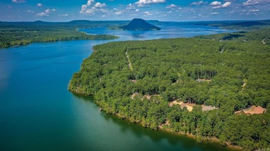 Experience the pinnacle of lakefront luxury in this furnished - photo 47