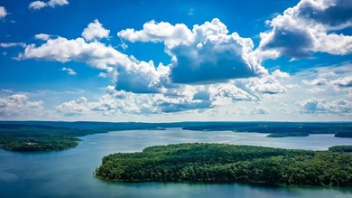 Experience the pinnacle of lakefront luxury in this furnished - photo 48
