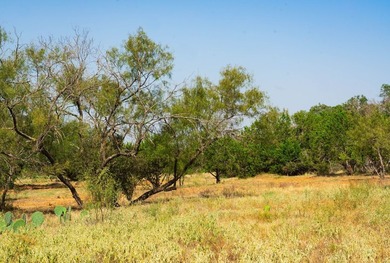 Welcome to 40 beautiful acres of open land surrounded by - photo 14