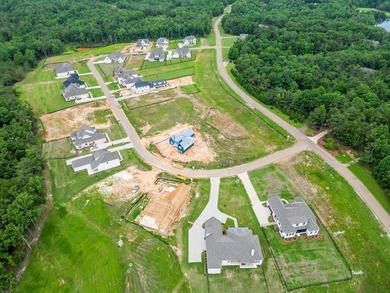 Welcome to The Highlands Phase 12! Build your own dream home on - photo 7