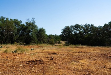 Welcome to 40 beautiful acres of open land surrounded by - photo 17