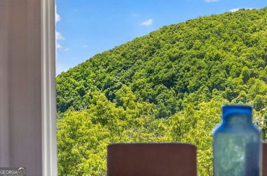 Only 1,000 feet from the summit of Mt. Oglethorpe, this home - photo 47