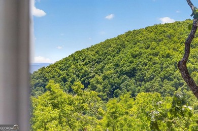 Only 1,000 feet from the summit of Mt. Oglethorpe, this home - photo 48