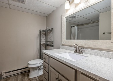 Brandy Lake 3 bed 2.5 bath home with 210' of frontage and 2.82 - photo 20