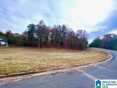(private lake, pond, creek) Lot For Sale in Bessemer Alabama