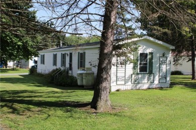 Lake Home Sale Pending in Canadice, New York