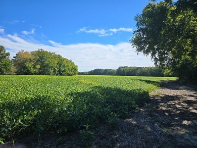 Little farms, or the real estate term farmette, best describes - photo 1