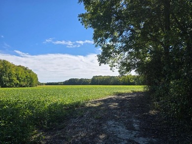Little farms, or the real estate term farmette, best describes - photo 2